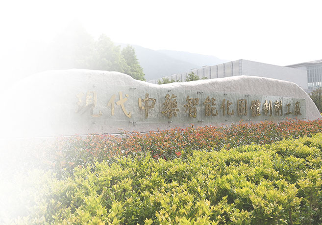 九五至尊电子游戏药业